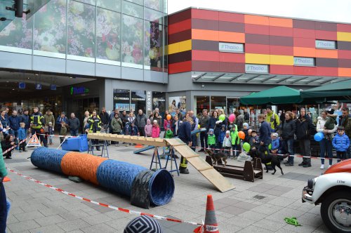 Zuschauer verfolgen vor dem Einkaufszentrum eine Hundevorführung mit einem Geschicklichkeitsparcours aus Tunnel und Wippe